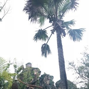 Meet your Posher, Adare